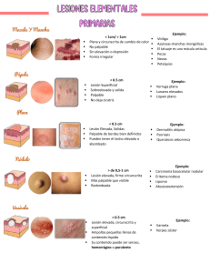 Lesiones Elementales Primarias en Dermatolog&iacute;a