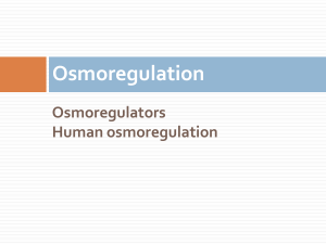 Osmoregulation: Human Physiology and ADH Function