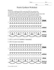 Protein Synthesis Worksheet: DNA to Amino Acids