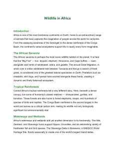 Wildlife in Africa: Ecosystems and Conservation