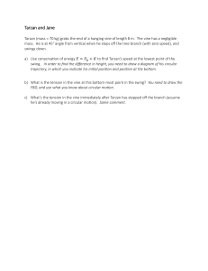 Tarzan Physics Problem: Conservation of Energy & Tension