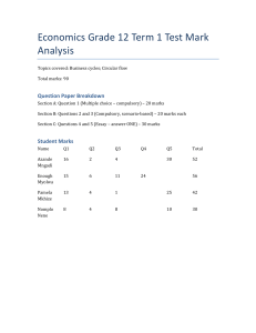 Economics Grade 12 Term 1 Test Mark Analysis