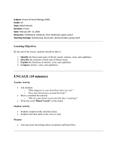 Blood Vessels Lesson Plan for 10th Grade Biology
