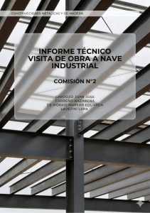 Informe t&eacute;cnico: Visita a obra de nave industrial