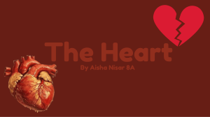 The Heart: Function, Transplant, and Benefits