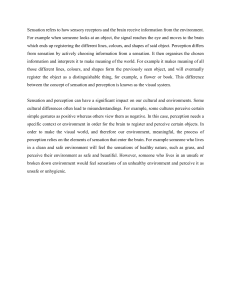Sensation vs Perception: Visual System & Cultural Impact