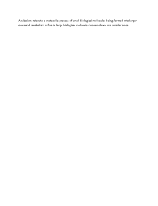 Anabolism and Catabolism: Metabolic Processes Definition
