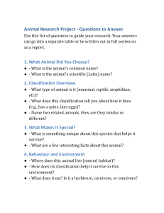 Animal Research Project Questions Guide