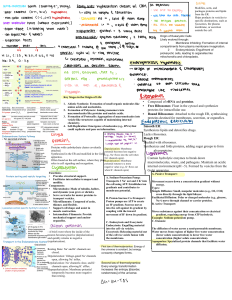 Biology Cell Structure & Function Study Guide