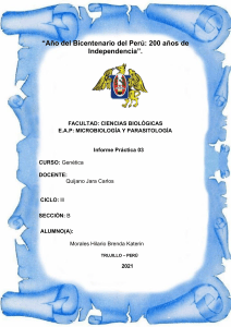 Informe de Pr&aacute;ctica de Gen&eacute;tica: Herencia Mendeliana y Chi-Cuadrado