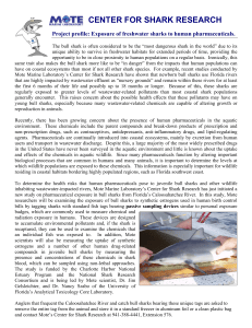 Bull Shark Pharmaceutical Exposure Study