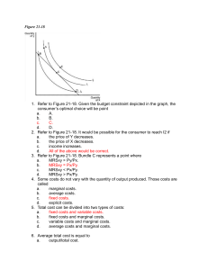 Economics Workbook: Consumer Choice & Cost Analysis