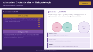 Alteraci&oacute;n Ovotesticular: Mecanismos Gen&eacute;ticos y Quimerismo