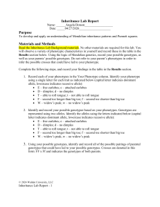 Inheritance Lab Report: Mendelian Genetics & Punnett Squares