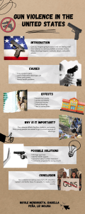 Gun Violence in the US: Causes, Effects, Solutions