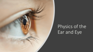 Physics of the Ear and Eye