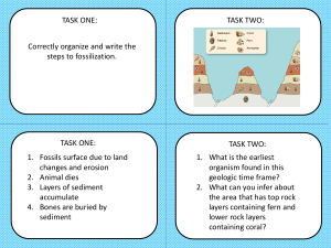 Fossilization Steps & Geologic Time Worksheet