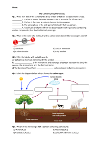 Carbon Cycle Worksheet