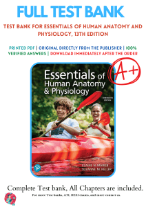 Test Bank for Essentials of Human Anatomy & Physiology 13th Ed.