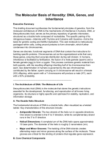 Molecular Basis of Heredity: DNA, Genes, Inheritance