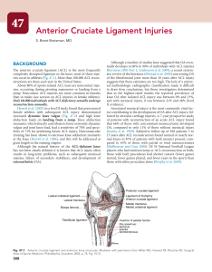 Anterior Cruciate Ligament Injuries: Background & Treatment