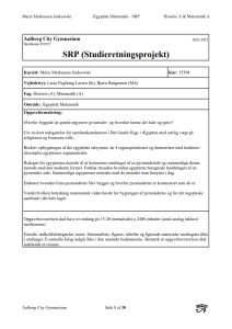 &AElig;gyptisk Matematik SRP: Pyramider og &AElig;gyptisk Matematik
