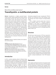 Transthyretin: A Multifaceted Protein Review