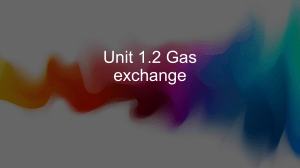 Unit 1.2 Gas Exchange: Alveoli & Diffusion