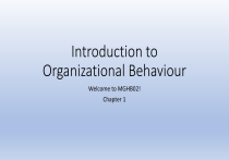 Introduction to Organizational Behaviour Chapter 1