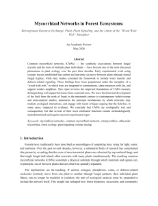 Mycorrhizal Networks in Forest Ecosystems: Resource Exchange & Signaling