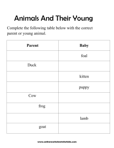 Animals And Their Young Worksheet