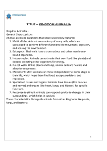 Kingdom Animalia: General Characteristics & Vertebrate Classes