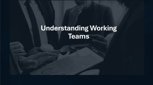 Understanding Working Teams: Punctuated Equilibrium Model