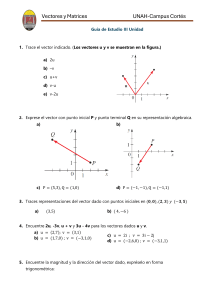 Gu&iacute;a de Estudio Vectores y Matrices UNAH