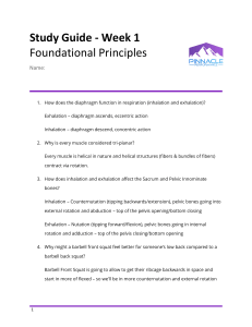 Study Guide: Foundational Principles of Human Anatomy & Physiology