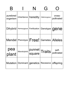 Genetics Bingo Game