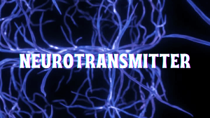 Neurotransmitter: Peran, Fungsi, dan Jenis