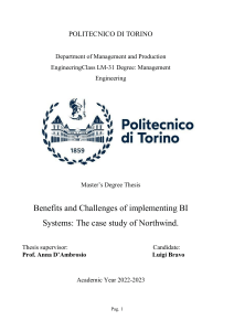 Benefits and Challenges of BI Systems: Northwind Case Study Thesis