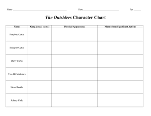The Outsiders Character Chart