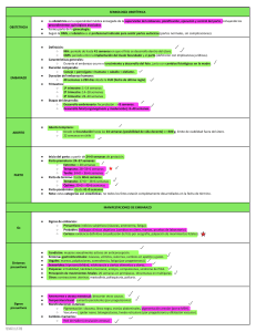 Semiotolog&iacute;a Obst&eacute;trica: Embarazo, Parto y M&eacute;todos Diagn&oacute;sticos