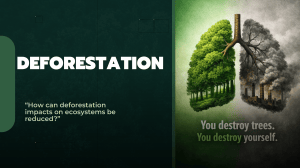 Deforestation: Causes, Consequences, and Solutions