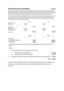 Valet Co Sales Performance Variance Analysis