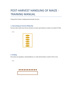 Post-Harvest Maize Handling Training Manual