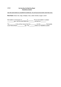Respiratory System Worksheet: Fill in the Blanks