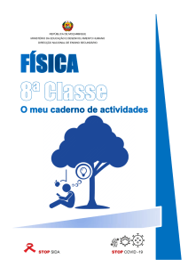 Caderno de Actividades de F&iacute;sica 8&ordf; Classe: Mo&ccedil;ambique