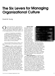 Six Levers for Managing Organizational Culture