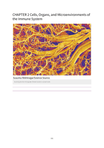 Immune System Cells, Organs, and Microenvironments Chapter