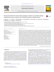 Interventions, Climate Risk, and Food Security in Burkina Faso Crop-Livestock Systems
