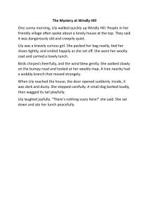 The Mystery at Windly Hill: A Children's Story
