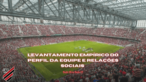 Levantamento Emp&iacute;rico do Perfil da Equipe e Rela&ccedil;&otilde;es Sociais Sub 15 e Sub 17